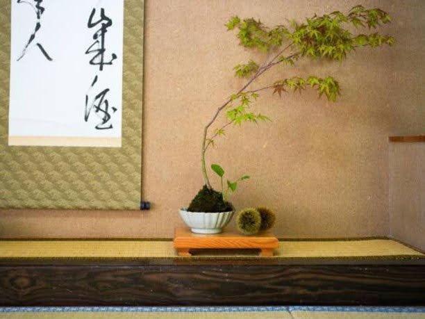 Ryokan Misato Minamioguni Extérieur photo
